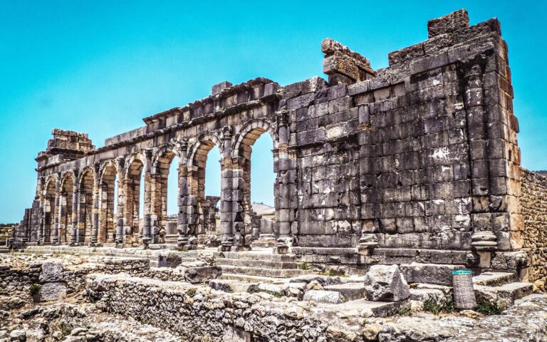 Volubilis-Walili-scaled
