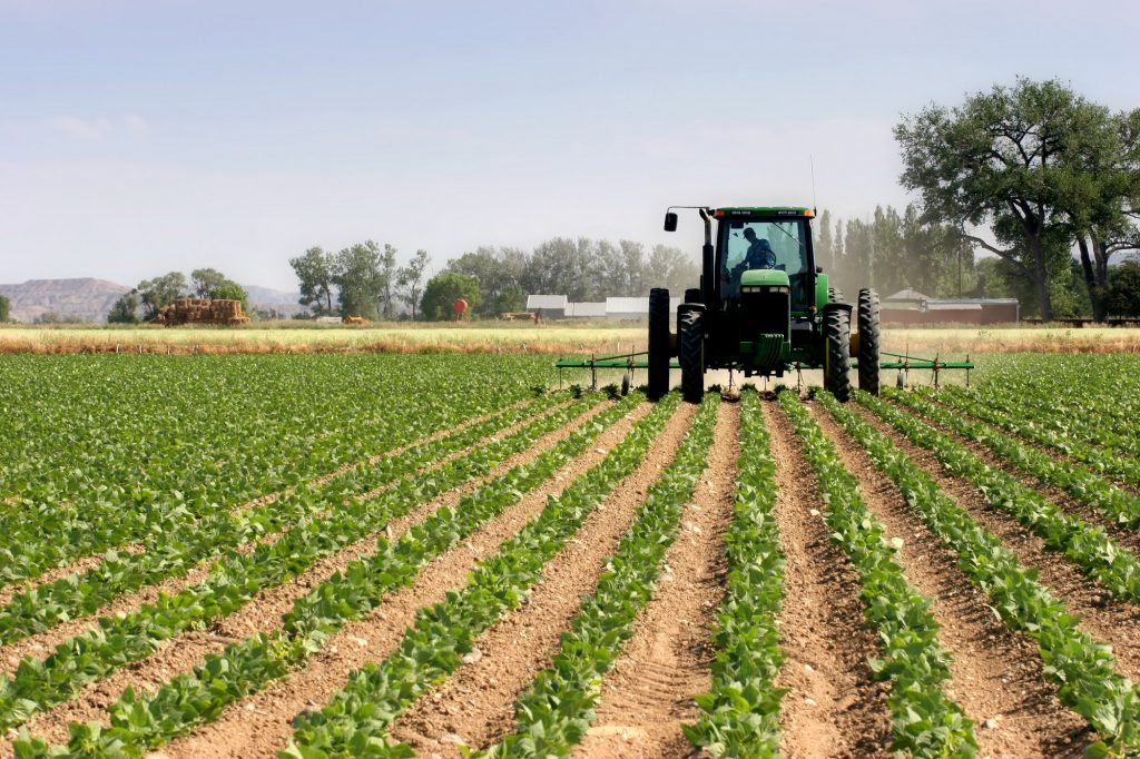 agriculture-Rabat-Salé