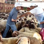 eid-adha