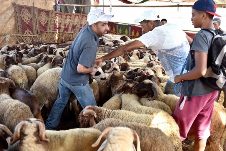 eid-adha