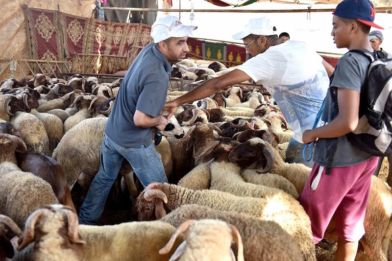 eid-adha