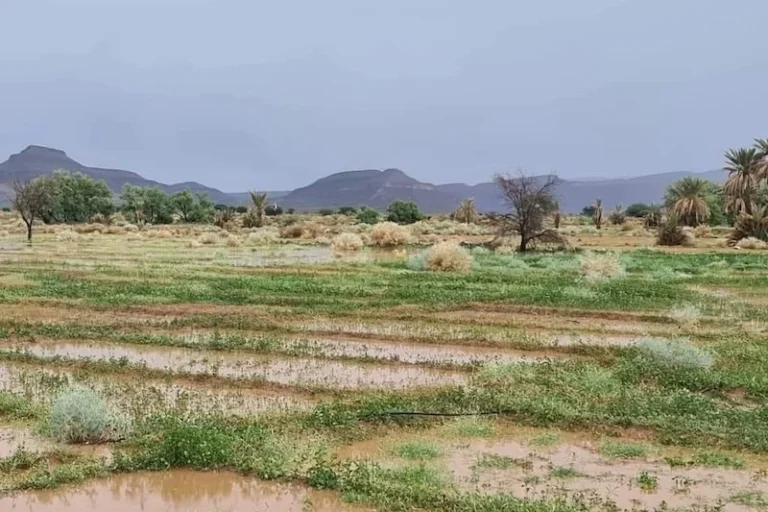 pluie-region-Draa-Tafilalet-alnif